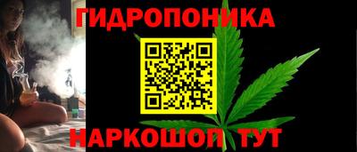 a pvp Обнинск